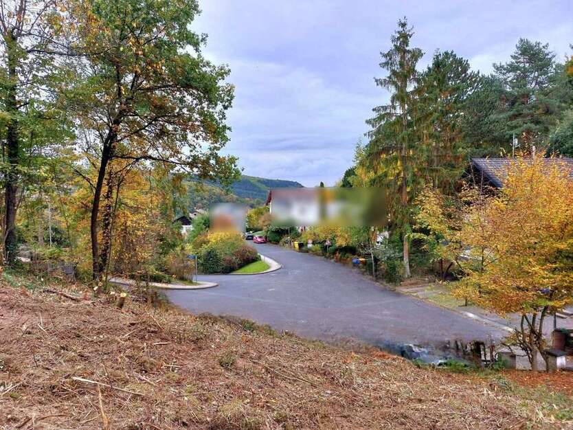 Grundstück zu verkaufen in Gönnersdorf 78.280 € 824 m² zimmer