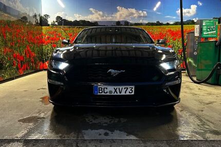 Ford Mustang 160.000 km 20.200 &euro; Ehingen 89584