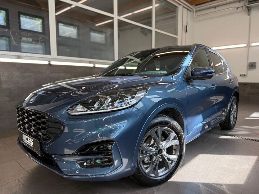 Kuga