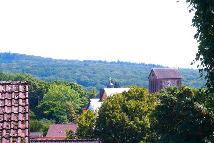 TaunusParadies: Traumhafte 3,5 Zi.- DG-Whg. im Grünen 3.5 zimmer