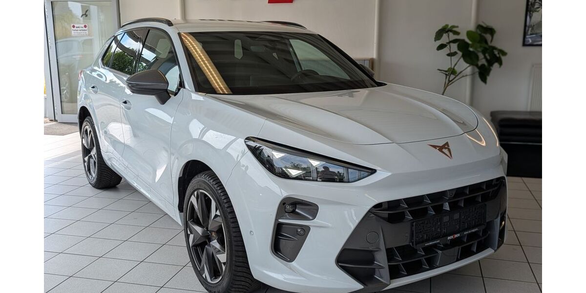 Cupra Terramar 19.741 km 32.980 &euro; Homberg (Efze) 34576