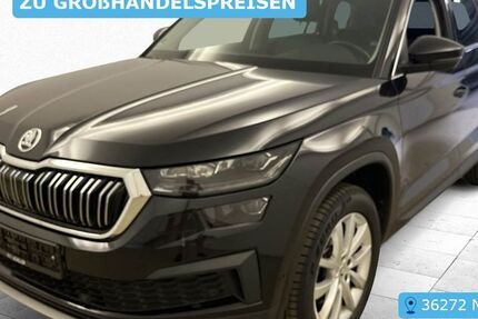 Skoda Kodiaq 110.443 km 24.790 &euro; Frankfurt 60596