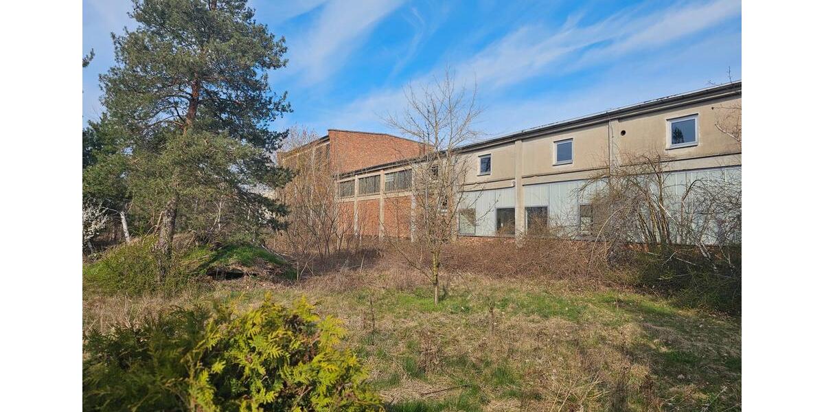 Gewerbeobjekt Eilenburg - 4.450&euro; | Angebot:25964573