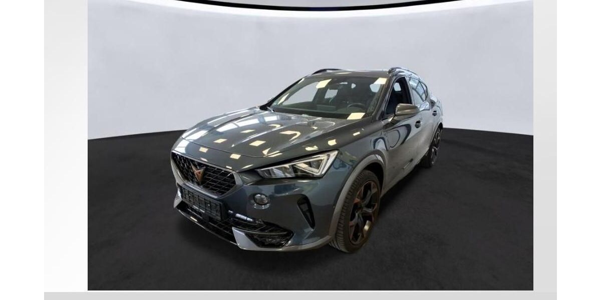 Cupra Formentor 32.100 km 32.890 &euro; Burgoberbach 91595