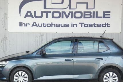 Skoda Fabia 68.217 km 10.990 &euro; Tostedt 21255