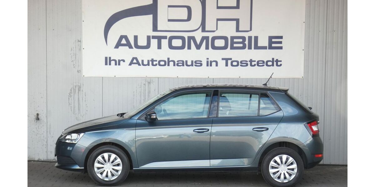 Skoda Fabia 68.217 km 10.990 &euro; Tostedt 21255