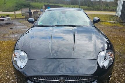 Jaguar XK