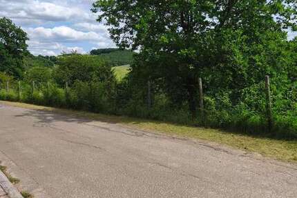 Grundstück Schiersfeld - 45.000&euro; | Angebot:26866056