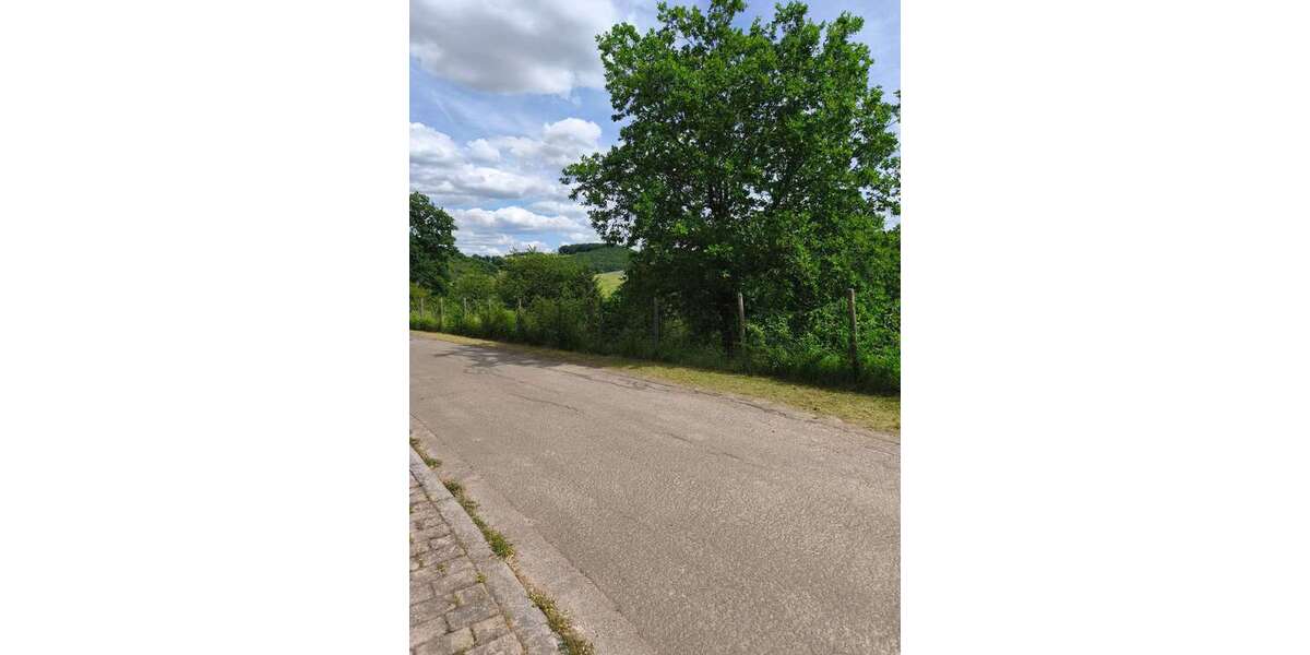 Grundstück Schiersfeld - 45.000&euro; | Angebot:26866056