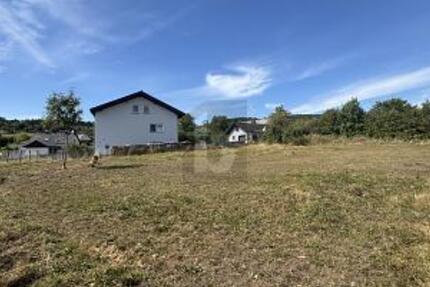 GESTALTUNGSFREIHEIT TRIFFT RUHE UND NATUR - Grundstück Greifenstein | Angebot:25141856