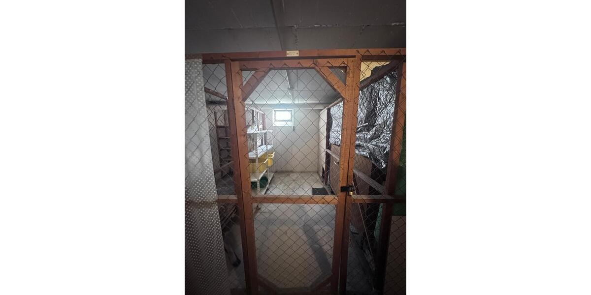 Etagenwohnung Kiel Neumühlen-Dietrichsdorf - 2 Zimmer, 45 m&sup2;, 605&euro; | Angebot:26400092