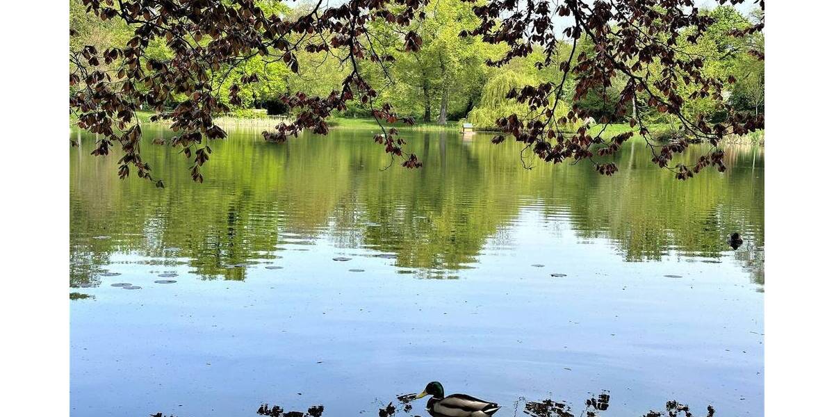 Etagenwohnung Leipzig Gohlis-Süd - 5 Zimmer, 132 m&sup2;, 664.000&euro; | Angebot:26036913