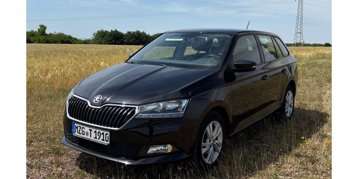 Skoda Fabia 98.200 km 10.900 &euro; Mettlach 66693