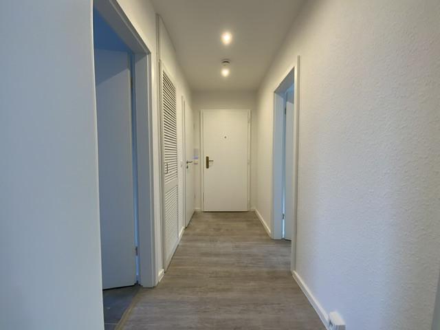 Erdgeschoßwohnung Wittenberg Lutherstadt - 3 Zimmer, 61 m&sup2;, 409&euro; | Angebot:25022885