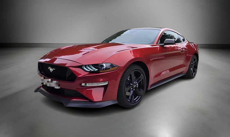 Mustang