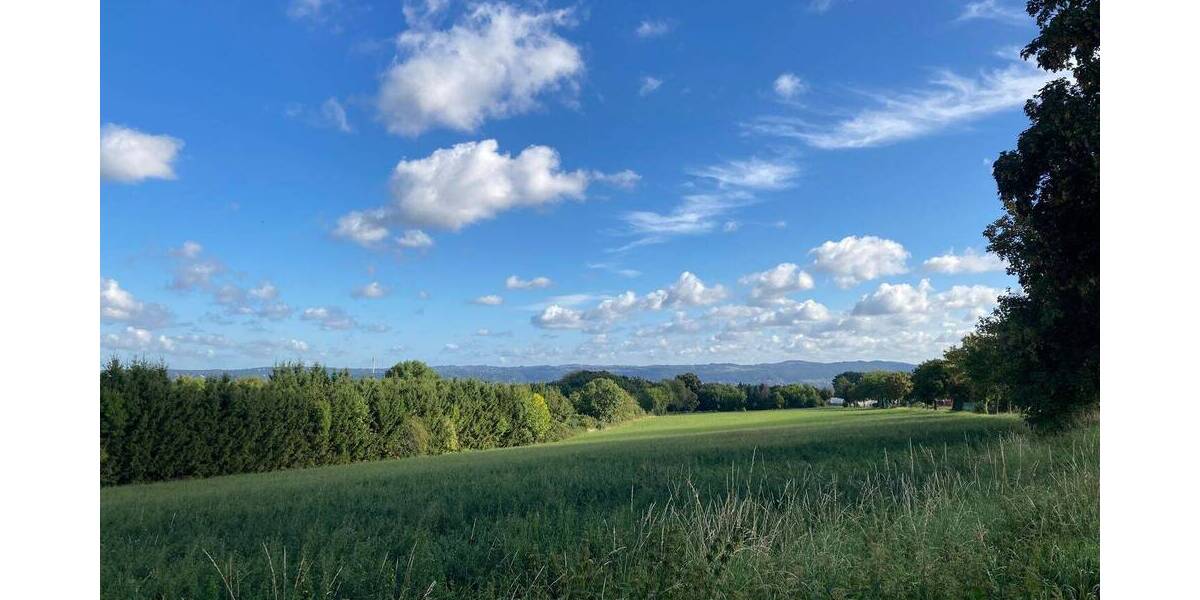 Verkauf von 2 Haushälften mit 3 Wohneinheiten in Gaustritz zimmer