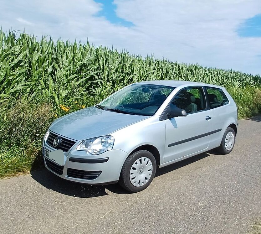 Polo