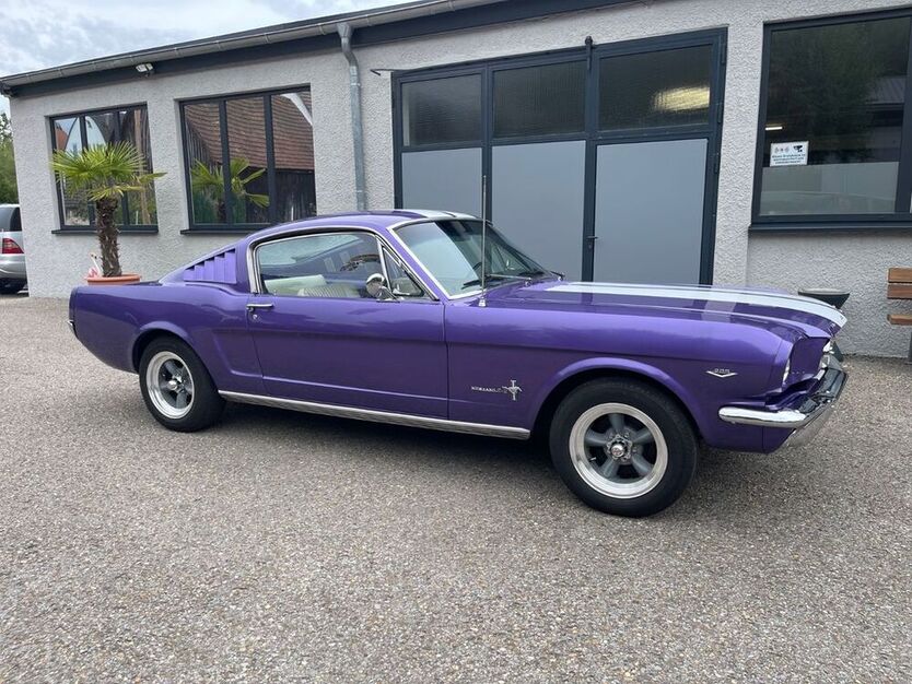 Mustang