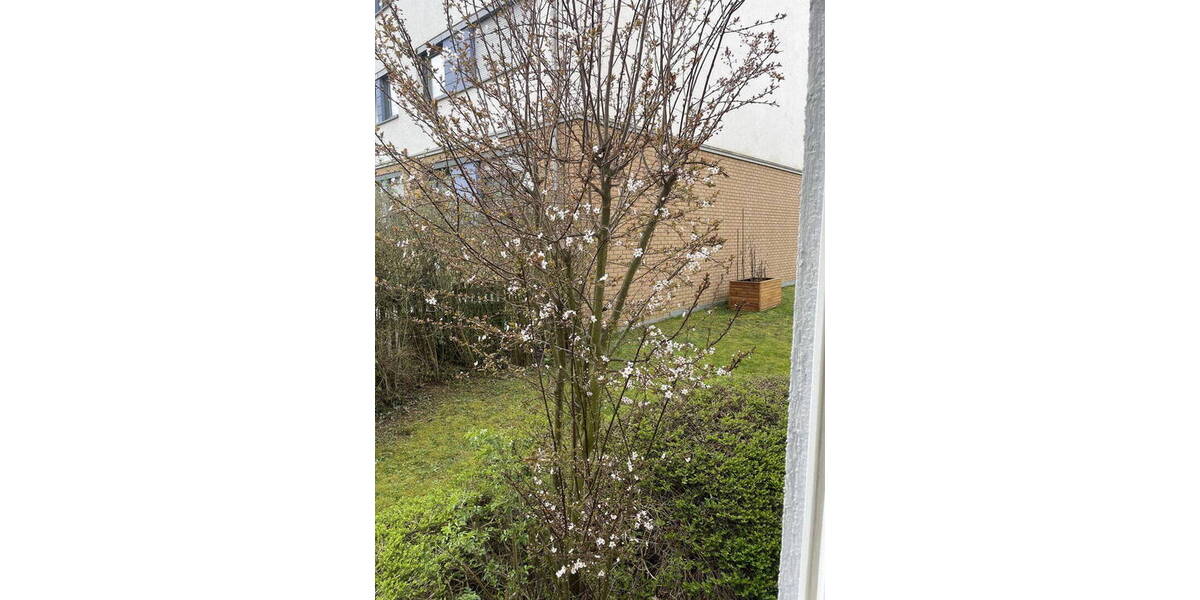 Etagenwohnung Bad Homburg Berliner Siedlung/Gartenfeld - 2 Zimmer, 64 m&sup2;, 300.000&euro; | Angebot:25693982