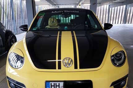 VW Beetle
