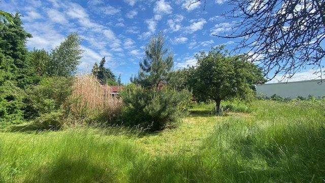 Bungalow Leipzig Holzhausen - 2 Zimmer, 73 m&sup2;, 299.950&euro; | Angebot:25315589