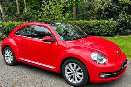 VW Beetle 124.000 km 9.250 &euro; Wietmarschen 49835