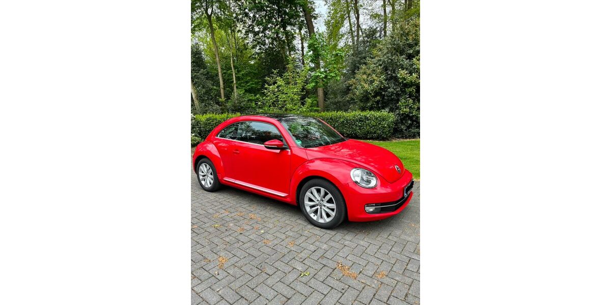 VW Beetle 124.000 km 9.250 &euro; Wietmarschen 49835