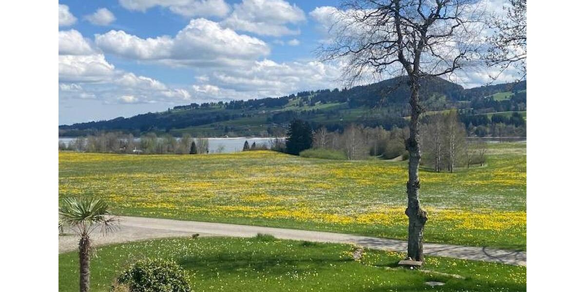 einzigartige BueroGeschäftsräume im Allgäu bei Kempten, See- und Bergsicht und Business-Fengshui zimmer