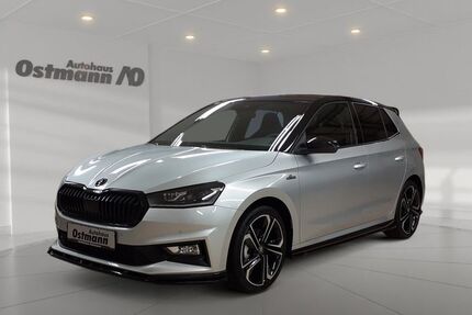 Skoda Fabia 2.500 km 34.700 &euro; Melsungen 34212