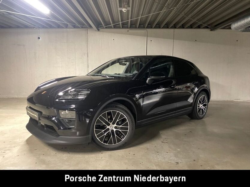 Macan