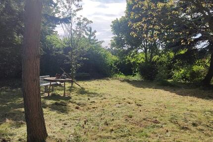 Grundstück Radeberg - 200&euro; | Angebot:26382415