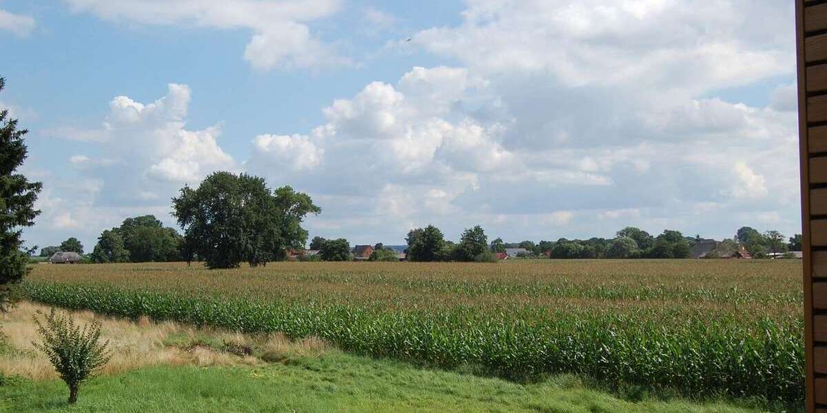 Einfamilienhaus Niedersachsen - Hohnstorf (Elbe) Hohnstorf (Elbe) - 12 Zimmer, 301 m&sup2;, 620.000&euro; | Angebot:26422656