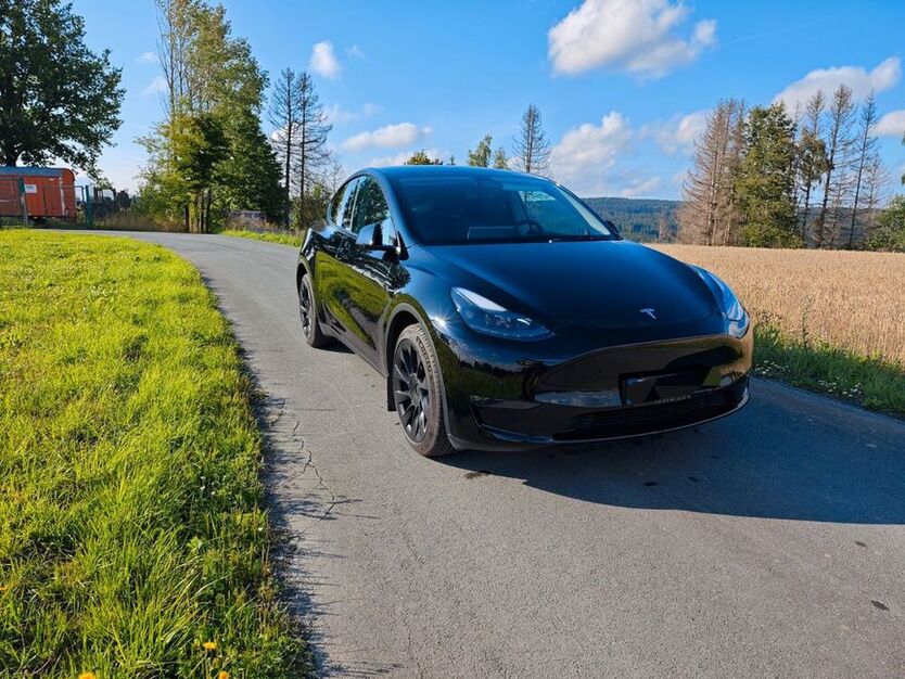 Model Y