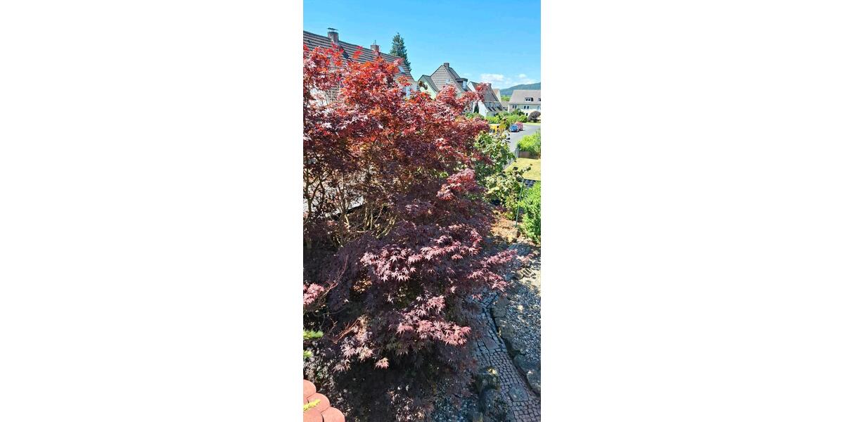Doppelhaushälfte Kassel Niederzwehren - 10 Zimmer, 218 m&sup2;, 470.000&euro; | Angebot:27164566