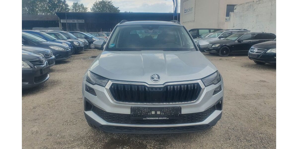 Skoda Karoq 169.794 km 20.111 &euro; Bonn 53227