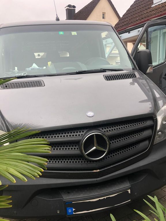 Sprinter
