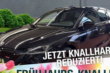 Skoda Octavia 99.983 km 25.770 &euro; Marktredwitz 95615