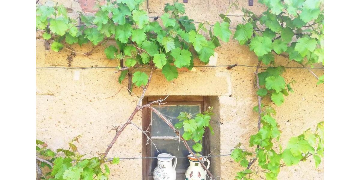 Bauernhaus, Landhaus Bad Liebenwerda - 6 Zimmer, 128 m&sup2;, 119.000&euro; | Angebot:25843679