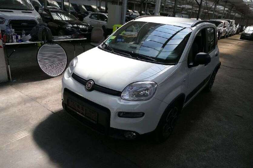 Panda