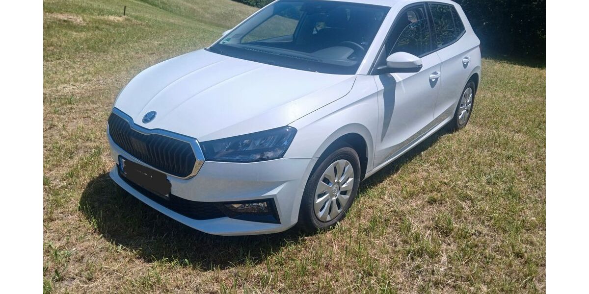 Skoda Fabia 34.700 km 14.000 &euro; Bad Hindelang 87541