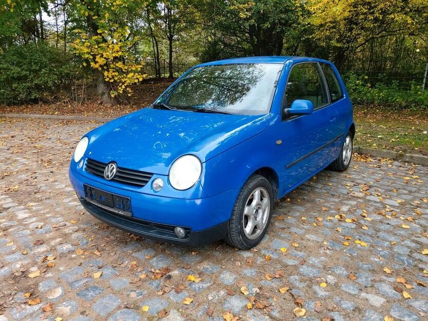 Lupo