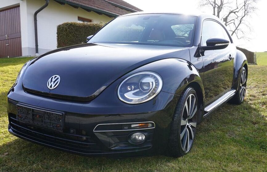 Beetle