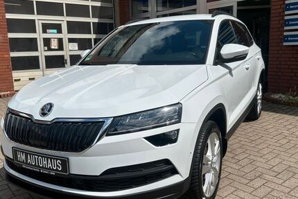 Skoda Karoq 117.373 km 16.999 &euro; Vechta 49377