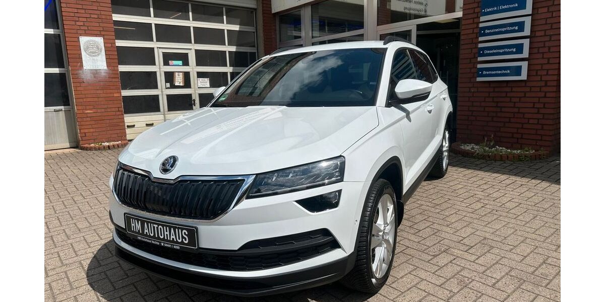 Skoda Karoq 117.373 km 16.999 &euro; Vechta 49377