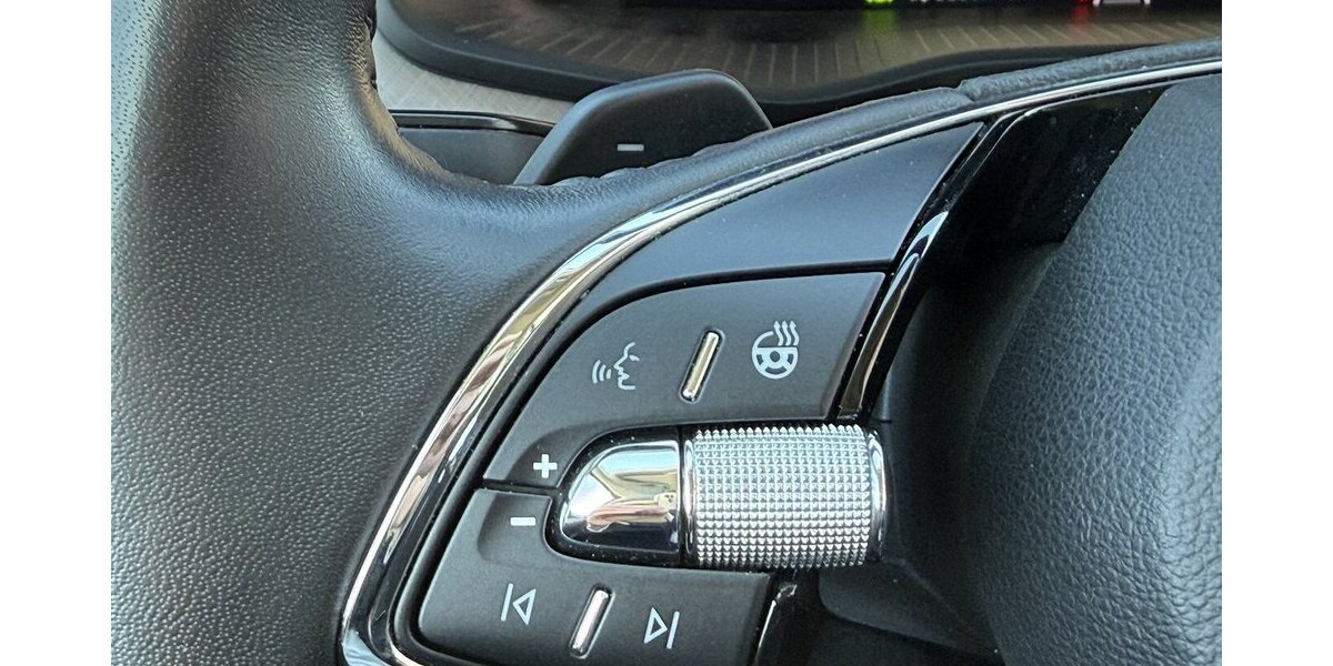 Skoda Kodiaq 2.0 TDi 4x4 DSG Virtual Matrix 360° Kamera 193.100 km 23.750 &euro; Altdorf 84032