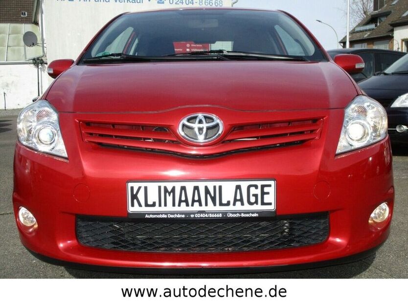 Auris