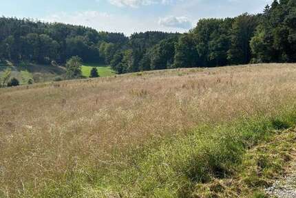 Grundstück in Moosthenning 229.000 € 14750 m² zimmer