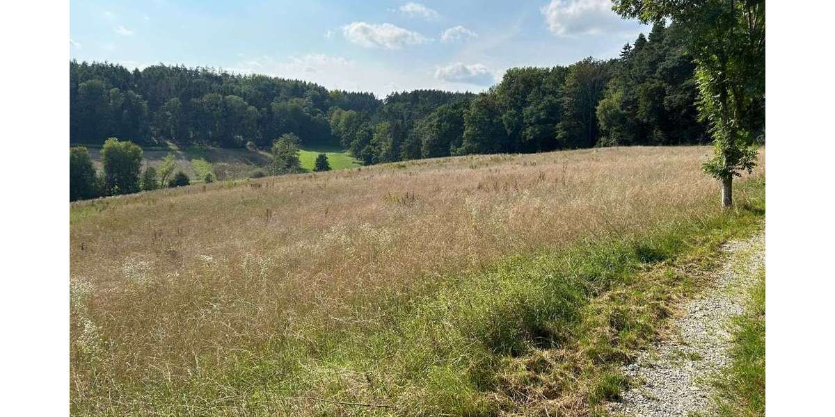 Grundstück in Moosthenning 229.000 € 14750 m² zimmer