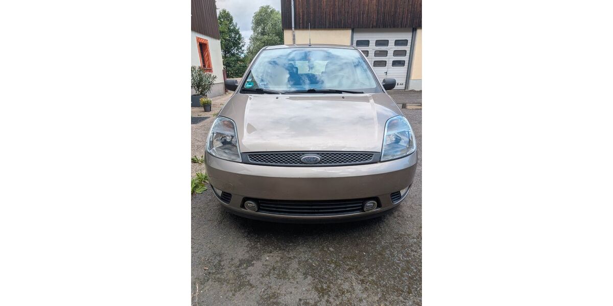 Ford Fiesta 124.000 km 800 &euro; Hartmannsdorf-Reichenau 01762