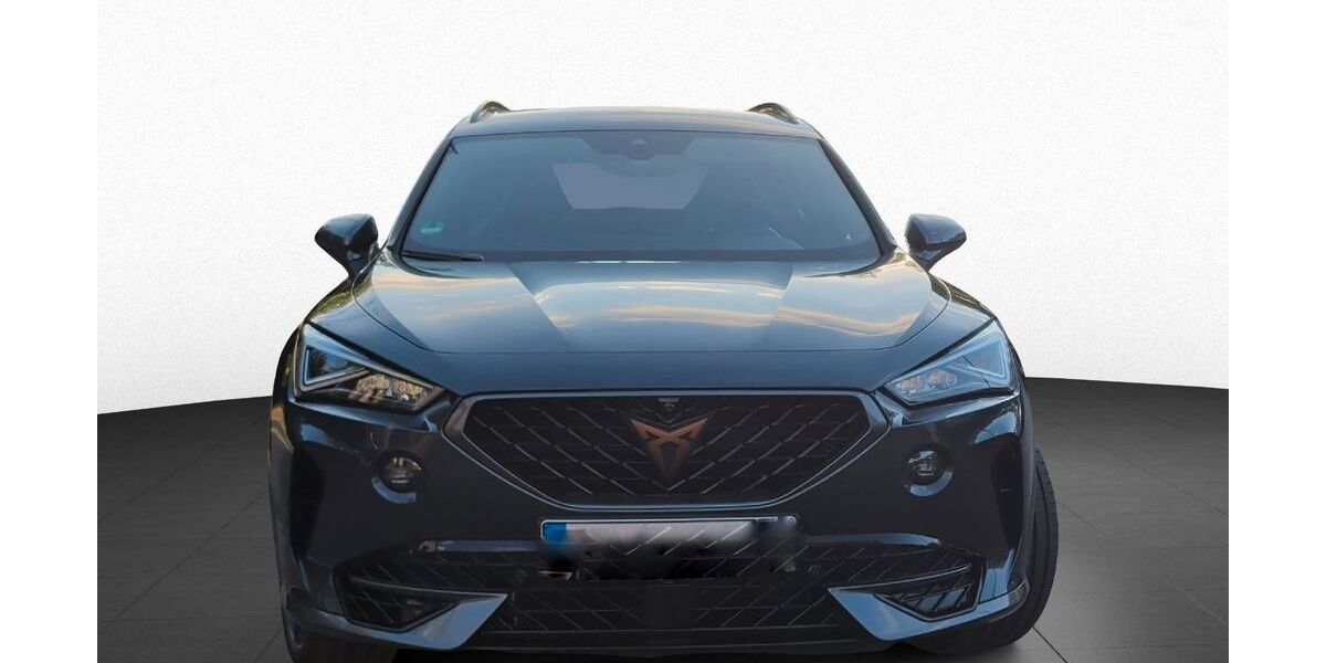Cupra Formentor 44.000 km 31.399 &euro; Mannheim 68305